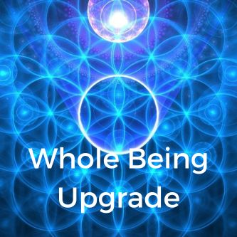 Whole Being Upgrade