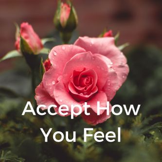 Accept How You Feel