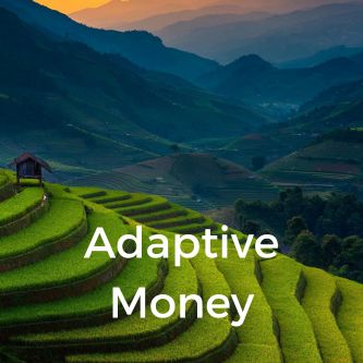 Adaptive Money