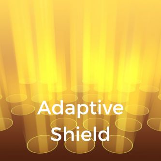 Adaptive Shield