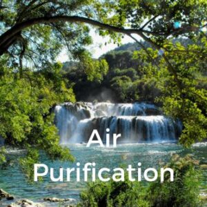 Air Purification