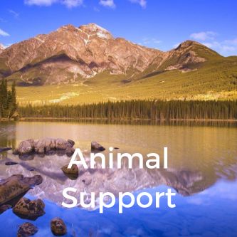 Animal Support