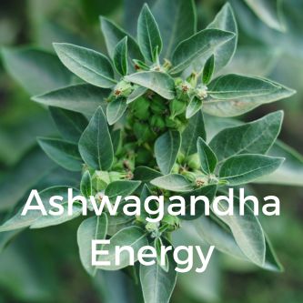 Ashwagandha Energy