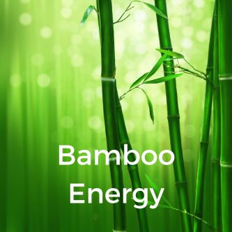Bamboo Energy