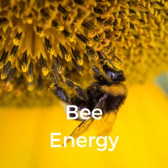 Bee Energy