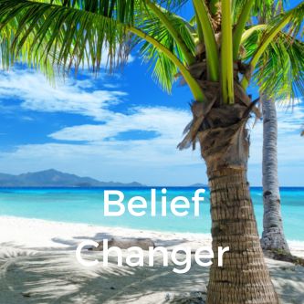 Belief Changer