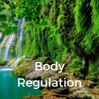 Body Regulation