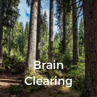 Brain Clearing