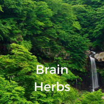 Brain Herbs