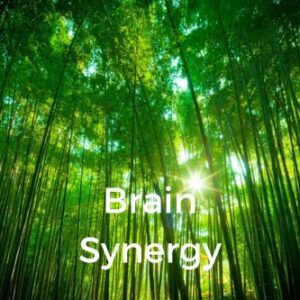 Brain Synergy