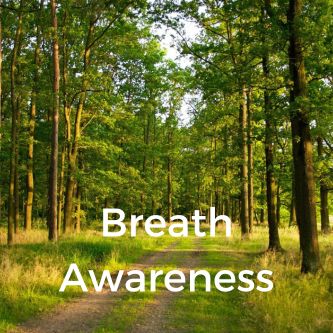 Breath Awareness