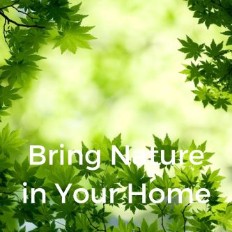 Bring Nature in Your Home