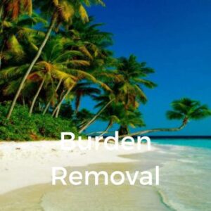 Burden Removal