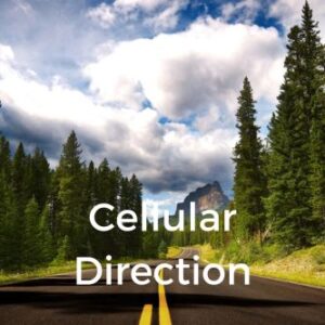 Cellular Direction