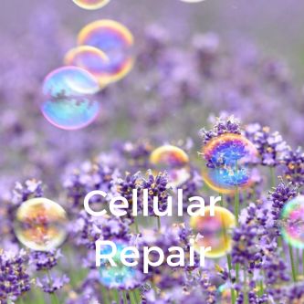 Cellular Repair