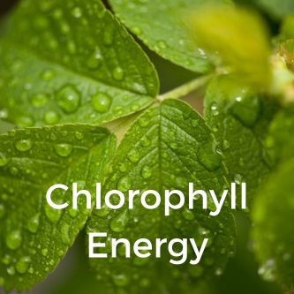 Chlorophyll Energy