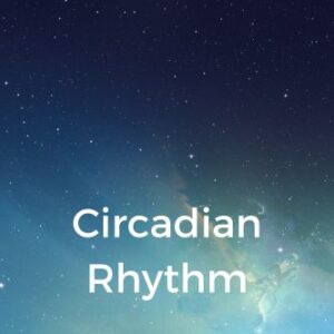 Circadian Rhythm