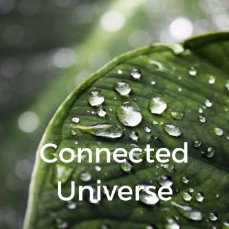 Connected Universe