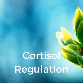 Cortisol Regulation