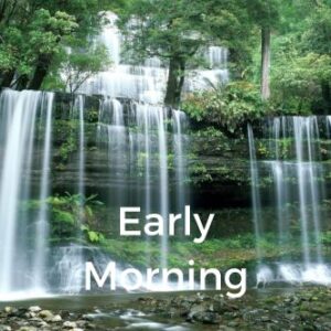 Early Morning