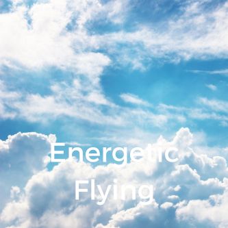 Energetic Flying