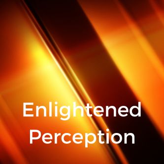 Enlightened Perception