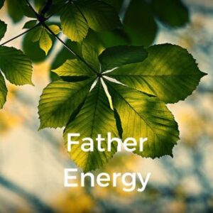 Father Energy
