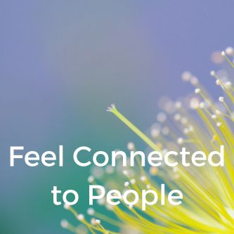 Feel Connected to People