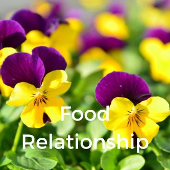 Food Relationship