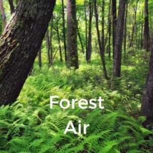 Forest Air