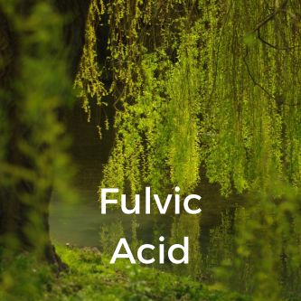 Fulvic Acid