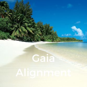 Gaia Alignment