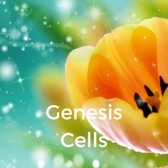 Genesis Cells