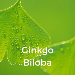 Ginkgo Biloba