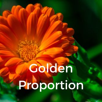 Golden Proportion