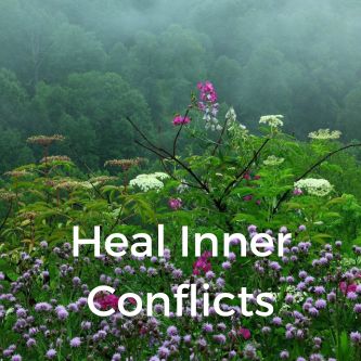 Heal Inner Conflicts
