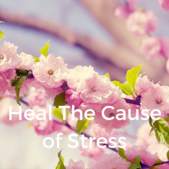 Heal The Cause of Stress
