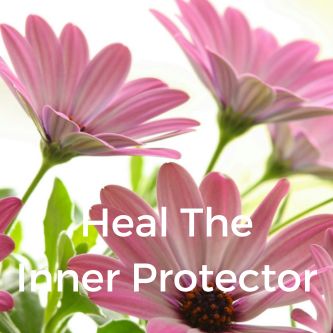 Heal The Inner Protector