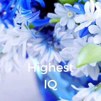 Highest IQ