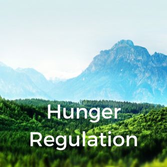 Hunger Regulation