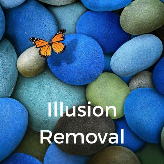 Illusion Removal