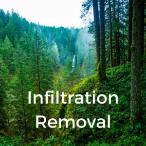 Infiltration Removal