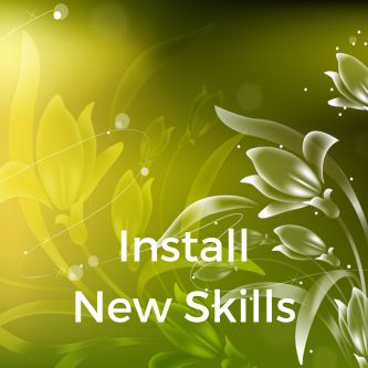 Install New Skills