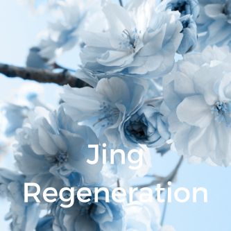 Jing Regeneration