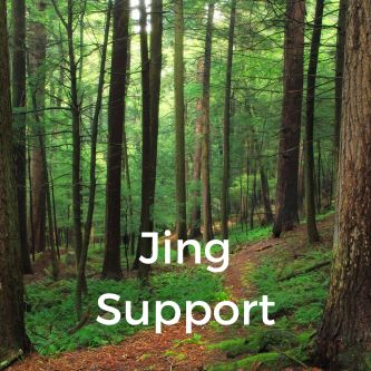 Jing Support