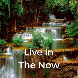 Live in The Now