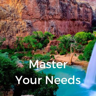 Master Your Needs