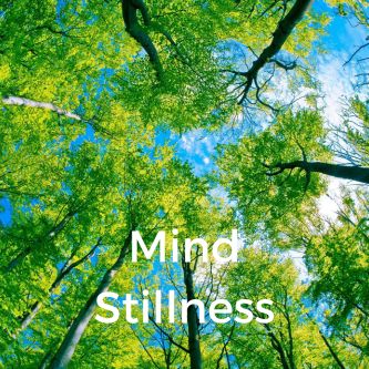 Mind Stillness