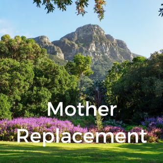 Mother Replacement