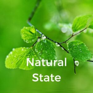 Natural State